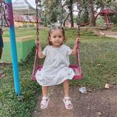 Vàn