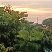 Tỷ 