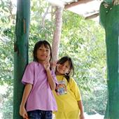 Bản