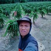 Tiệ
