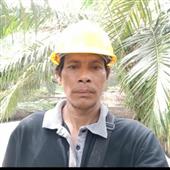 Dự 