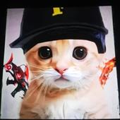 Gor