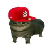 Tư 