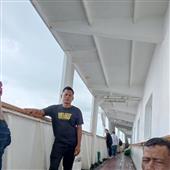 Giả