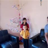 Vẻ 