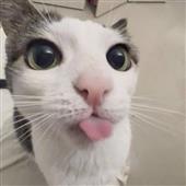 Các