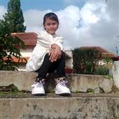 Dự 