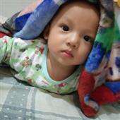 Giả