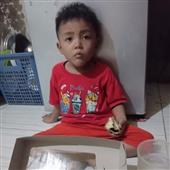 Giả
