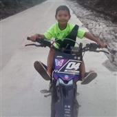 Bản