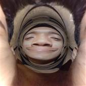 GẤU