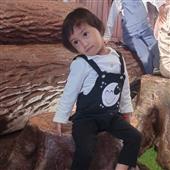 Kỳ 