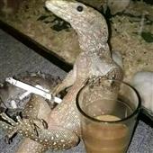 Mah