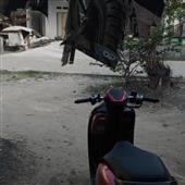 Hoạ