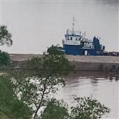 Trự