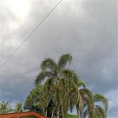 Ang