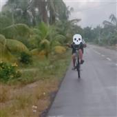 Dự 