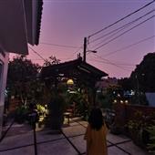RỒN