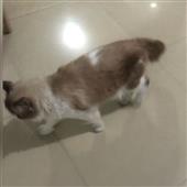 Độn