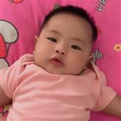 Bầu
