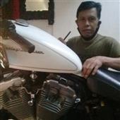 Quy
