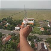 Bón