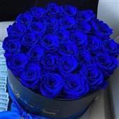 Cuộ