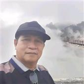 Giả