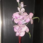 Ngọ