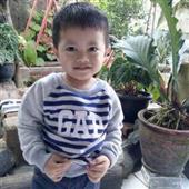 Săn