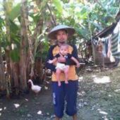Dự 