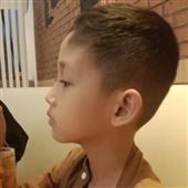Giả