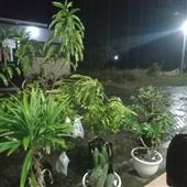 Sòn