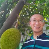 Tự 