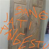 Giả