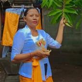 Bản