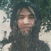Giả