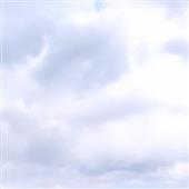 tiệ