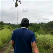 Trò