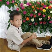 Bản