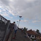 The