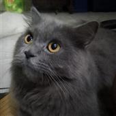 Lon
