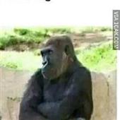 Giả