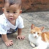 lấy