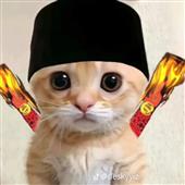 Kèo