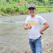 Bầy