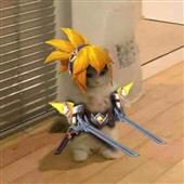 The