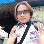 Gấu