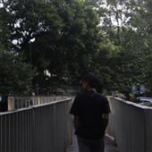 IPL