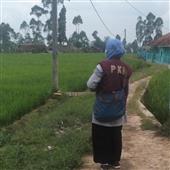 Nar